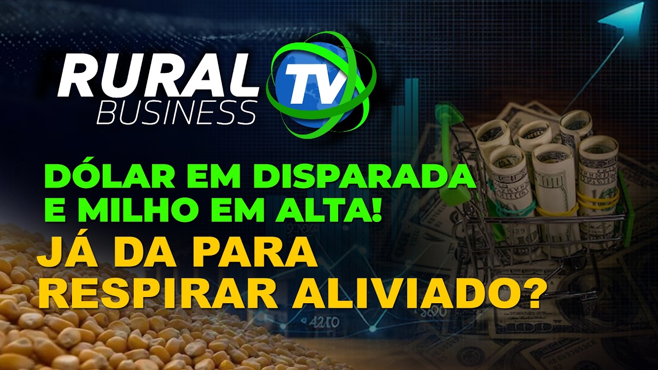 DÓLAR EM DISPARADA E MILHO EM ALTA! JÁ DA PARA RESPIRAR ALIVIADO?
