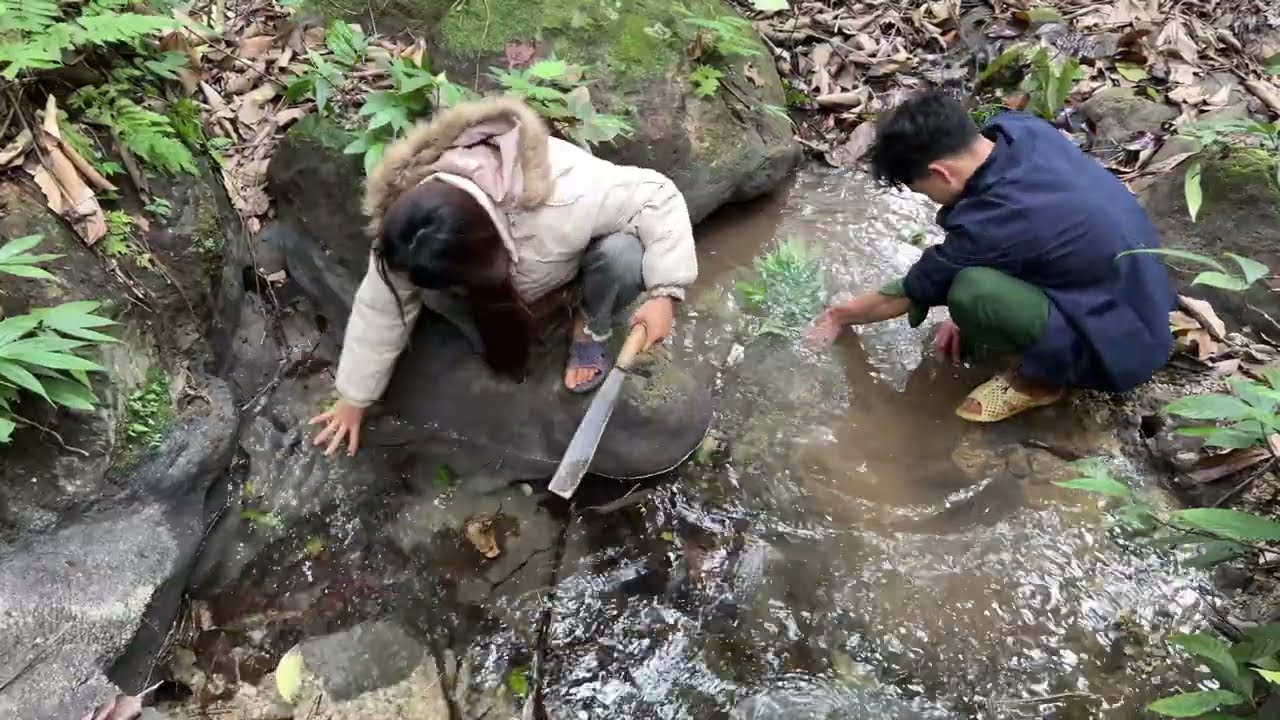 The couple set up camp in the forest - caught Tadpoles to cook - off grid living | Tao Thị Ún