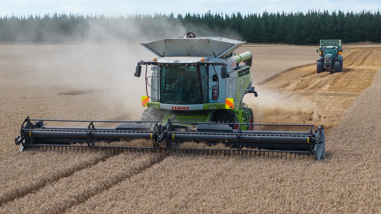 2026 New Zealand Wheat Harvest - Claas Lexion 770