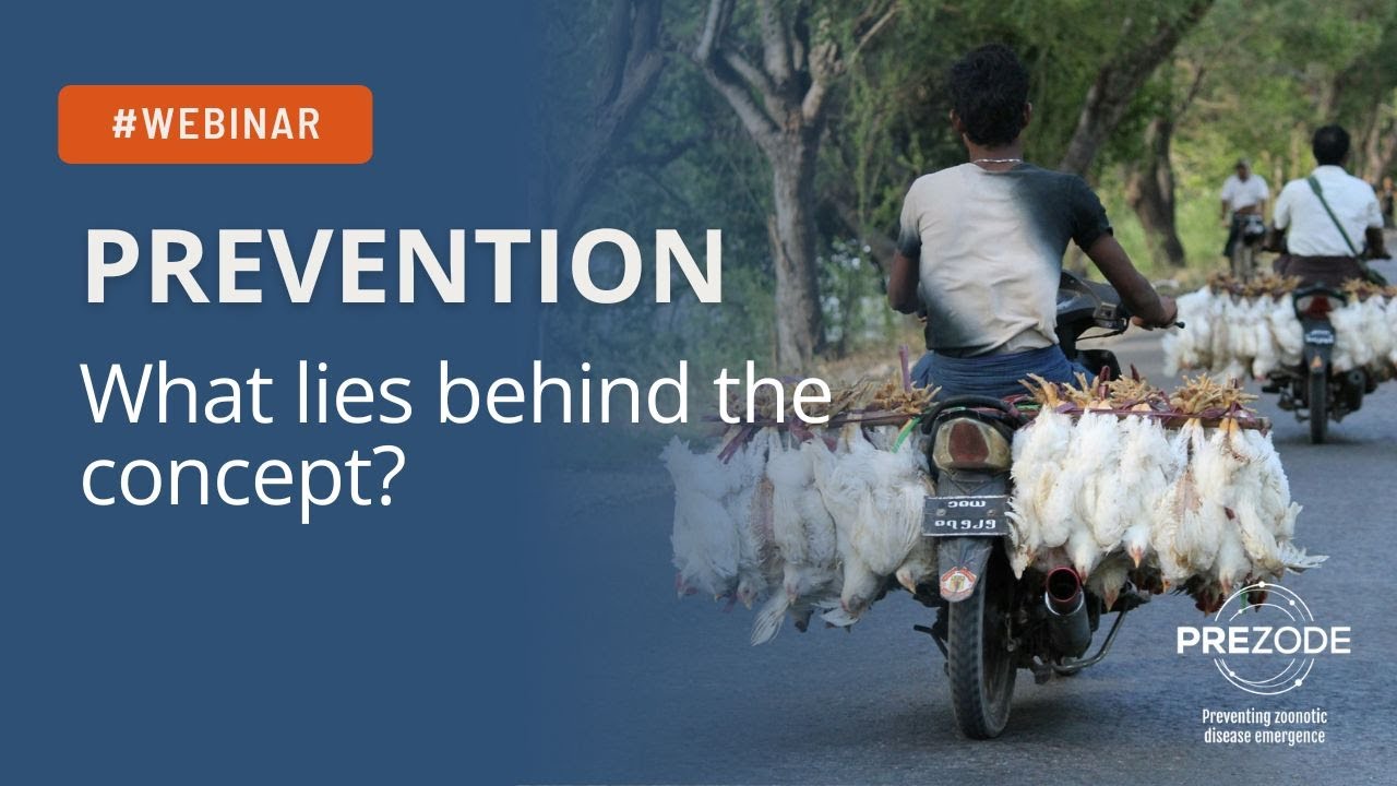 WEBINAR - Prevention: What lies behind the concept?