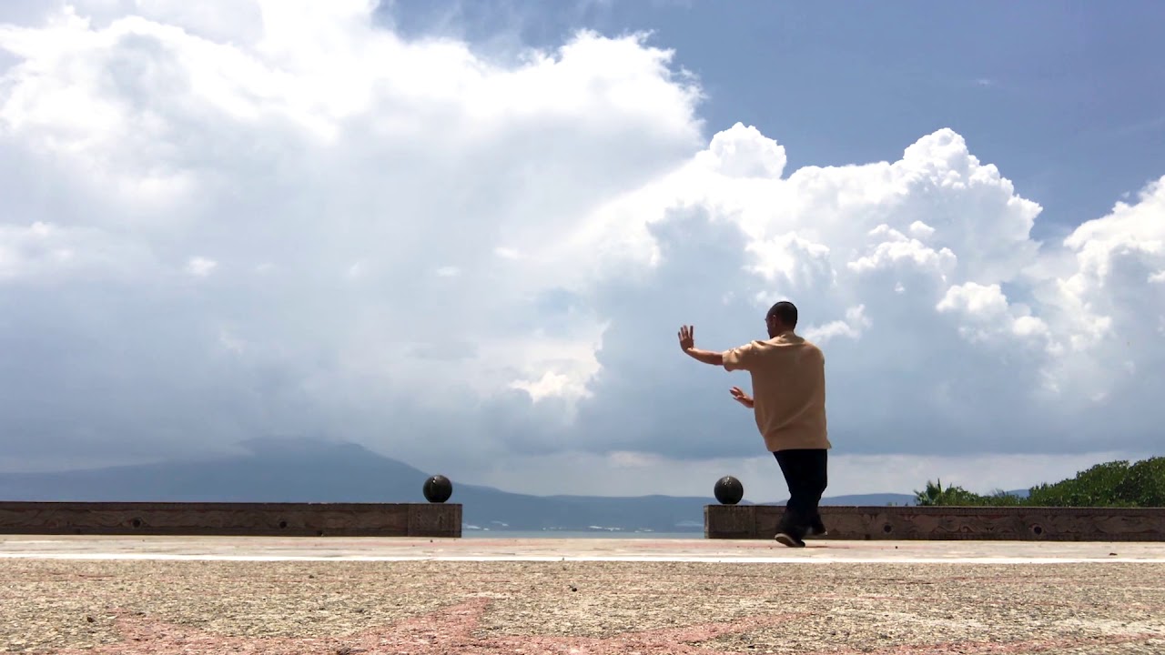 Ba Gua Zhang by Master Liu Deming
