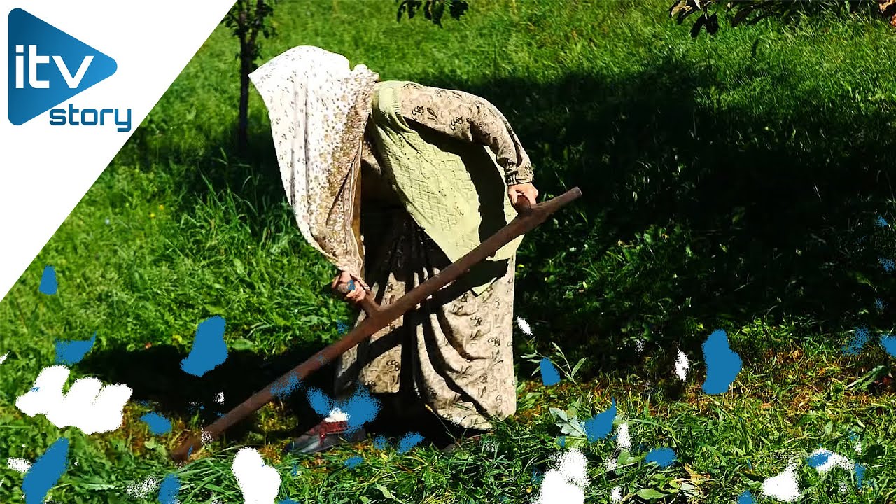 Nana u poznim godinama kosi travu, a dvorište sredila kao iz bajke!
