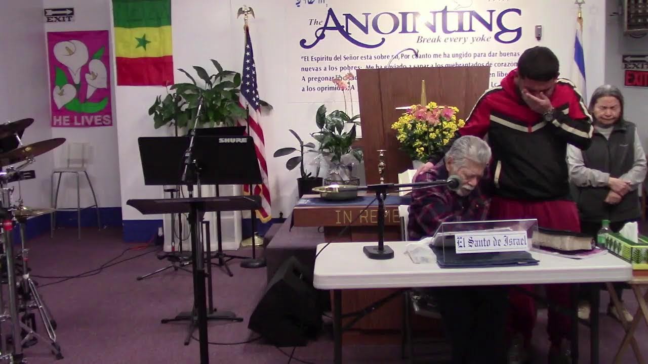 Live Stream