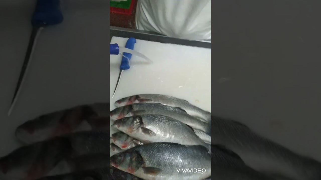 Balık fileto kesimi