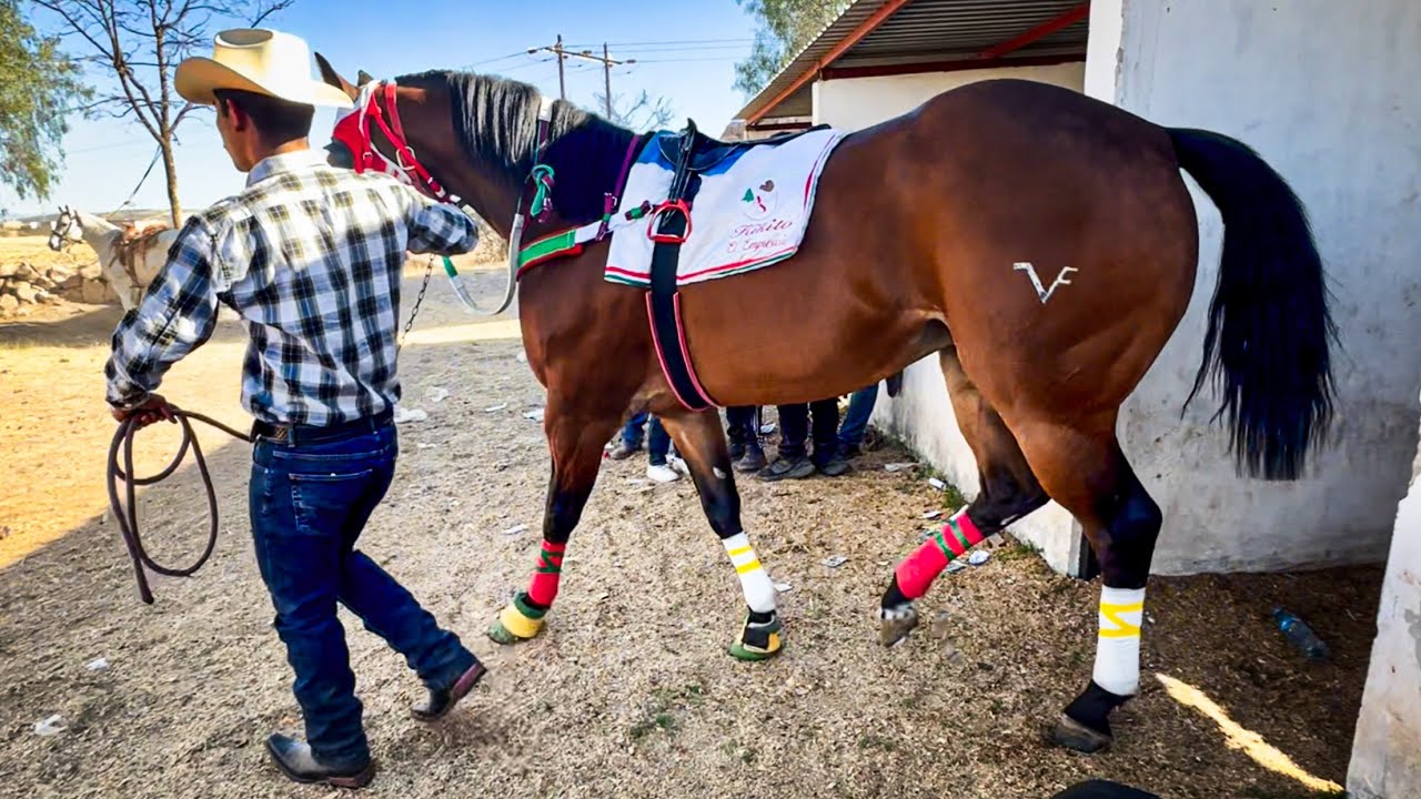 Controversia En Puertas | El Empresario Vs El Ceja Guera, Tapias Race Track Durango Mex.