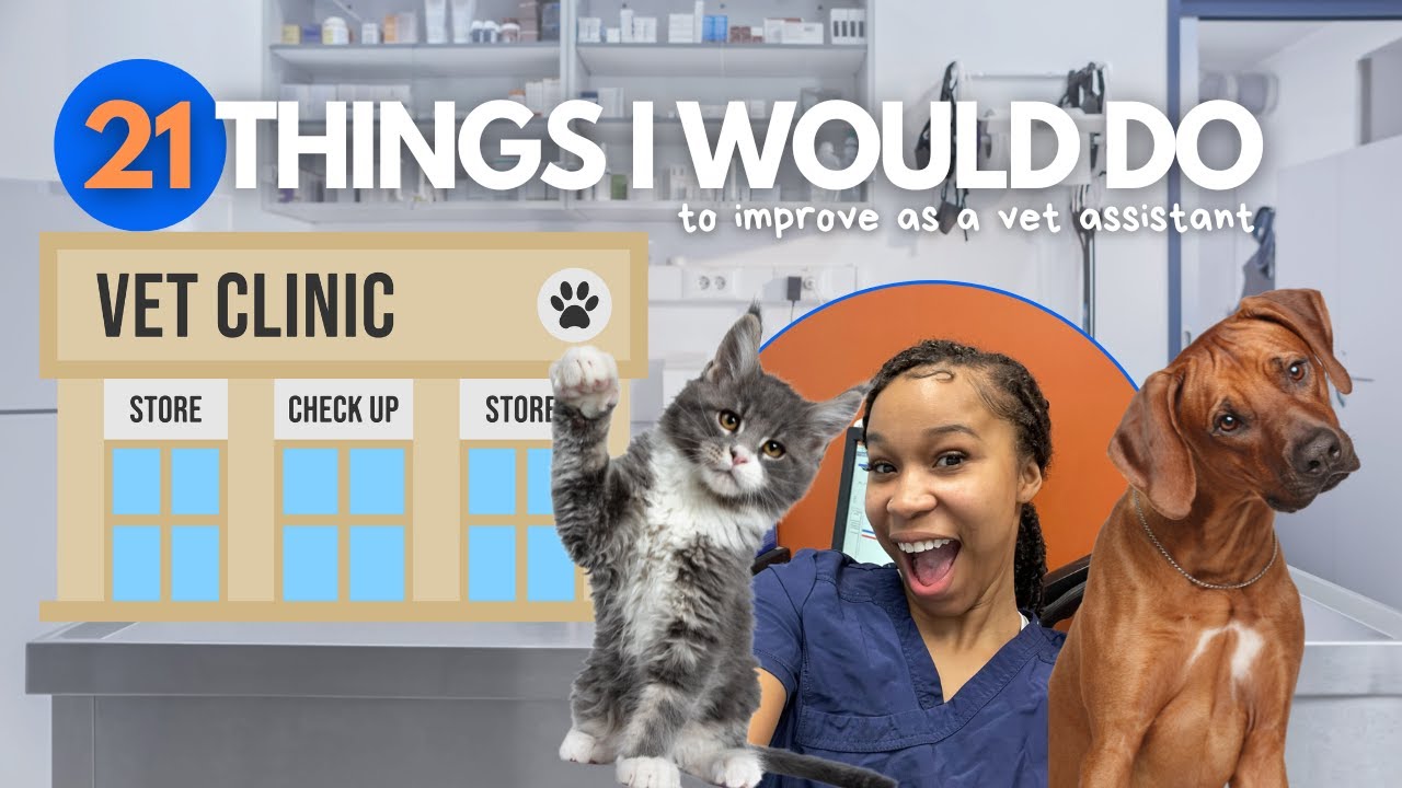 What I wish I knew AFTER I became a vet assistant