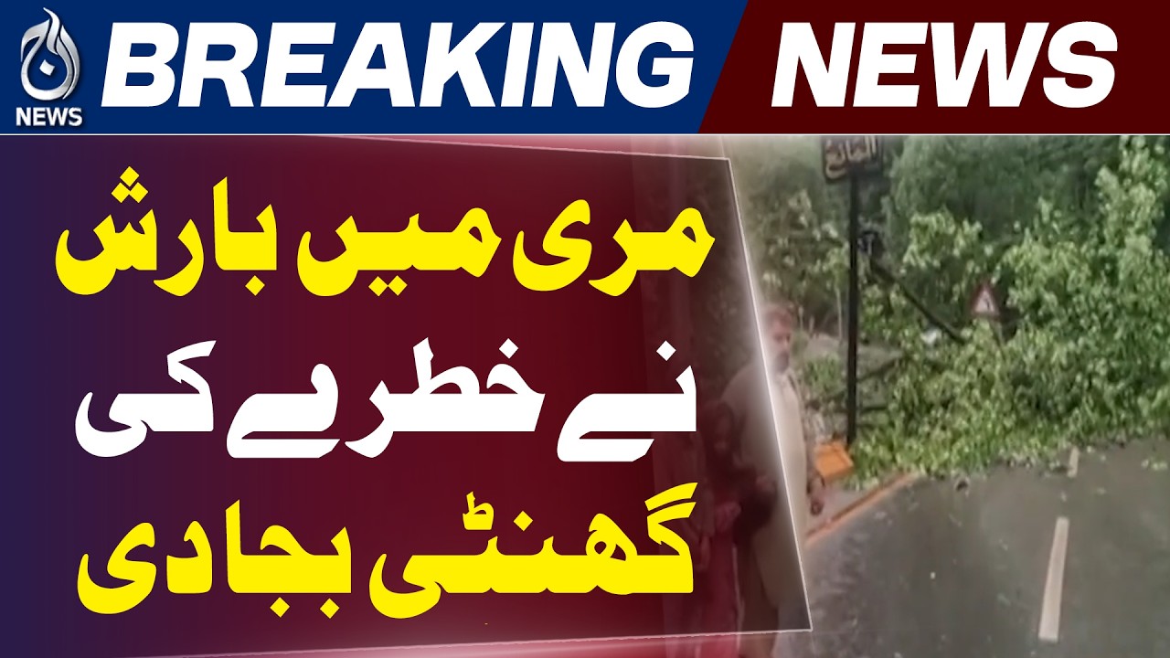 Murree Rain Update | Tree & Electric Pole Fall | Traffic Disrupted - Aaj News
