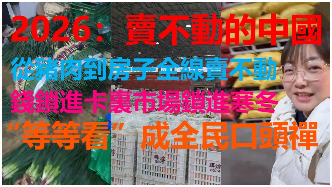 2026：賣不動的中國；從豬肉到房子全線賣不動；錢鎖進卡裏市場鎖進寒冬；“等等看”成全民口頭禪。