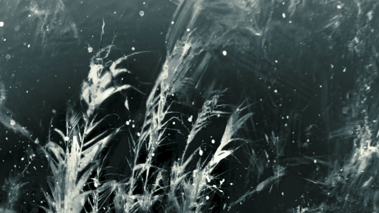 Liminal Reflections Mix | Ambient | Downtempo | Electronica | Experimental | Organic House
