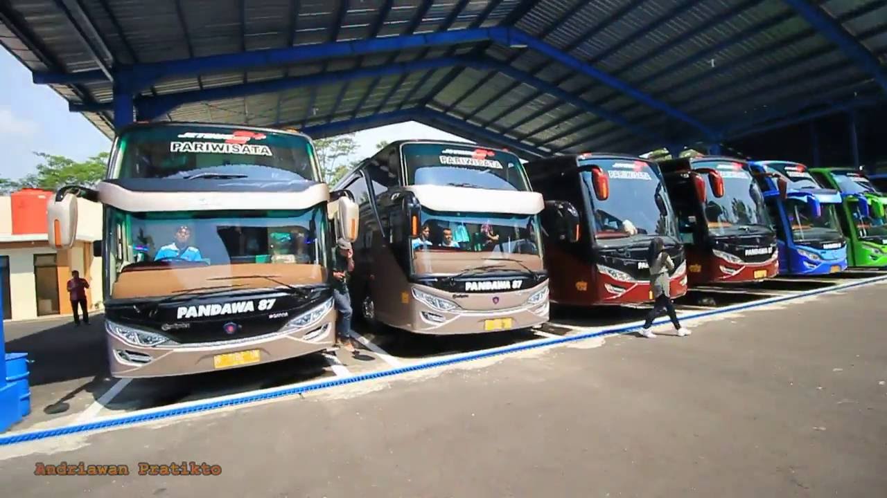 Perang Telolet Semua Bus Premium Class Pandawa87