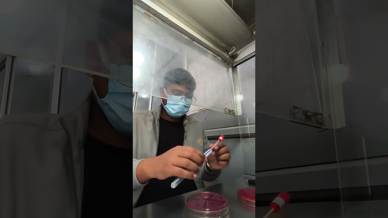 Microbiology🔬 #viralvideo #microbiology #science 