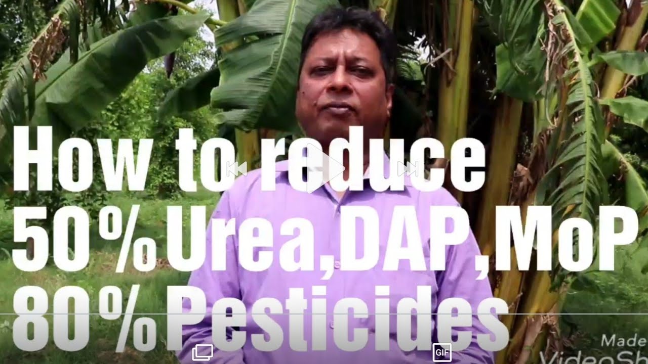 50% chemical fertilizers 80% pesticides can be reduced with waste decomposer WDC