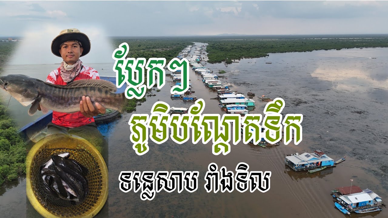 ទន្លេសាប ត្រីច្រើនណាស់ឆ្នាំនេះ