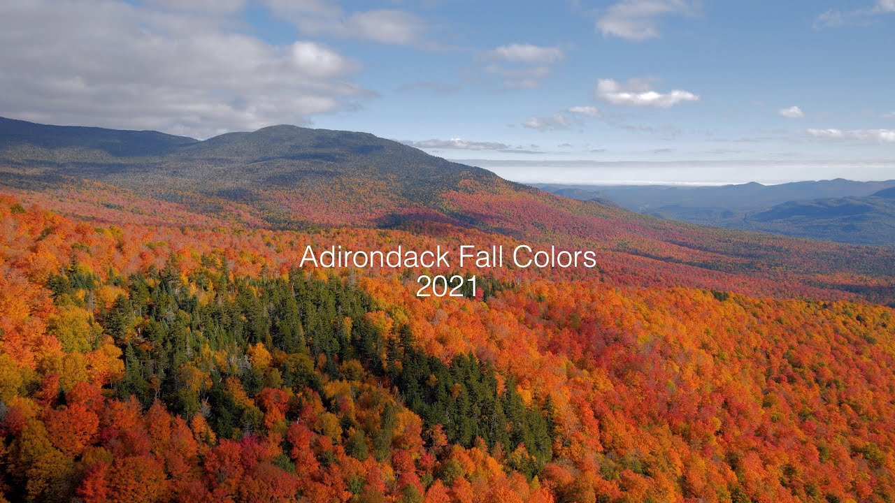 Fall Colors    Short 101221