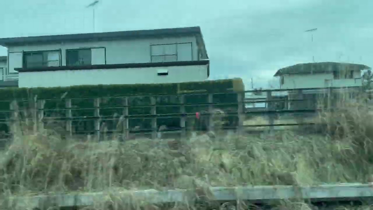 京王 新5000系 10両 5738 特急 新宿行 高尾線 めじろ台〜北野