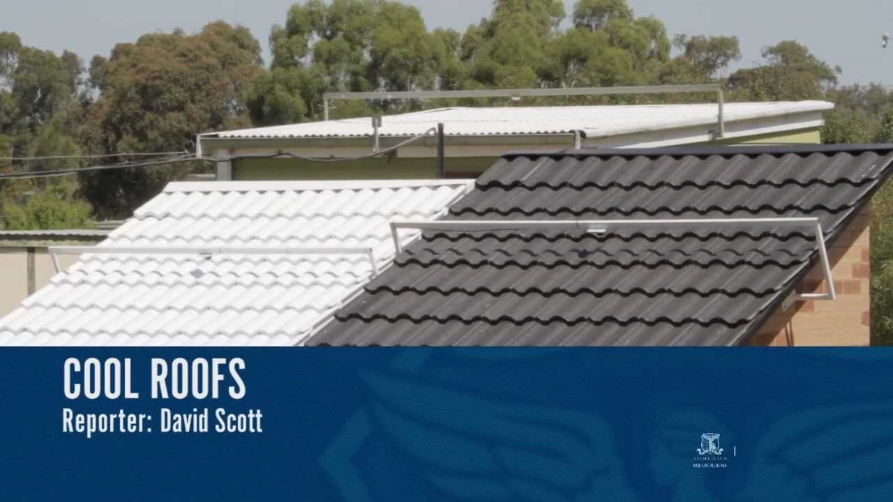 Visions: Cool Roofs