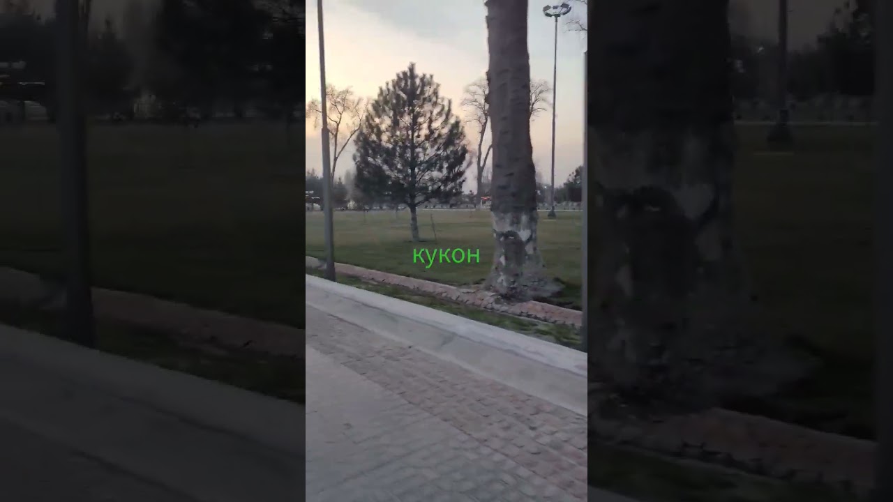 кукон