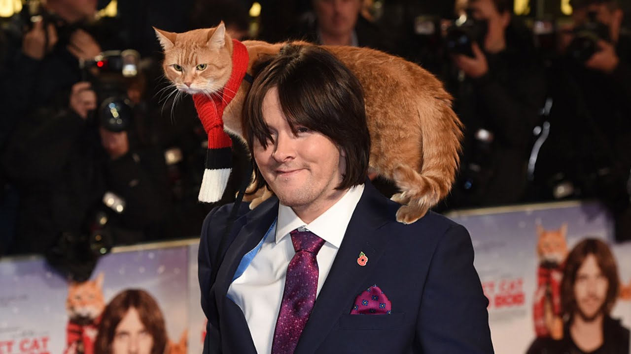 Famous feline from 'A Street Cat Named Bob' dies at 14-ish