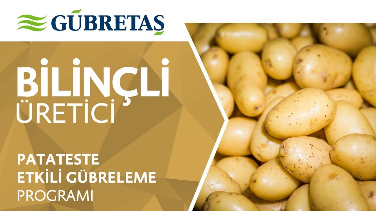 Patates |  Etkili Gübreleme Programı