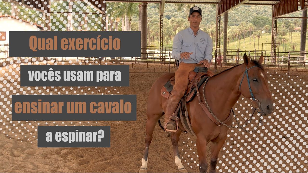 Ensine seu cavalo a usar bem os posteriores e mover bem as espáduas.