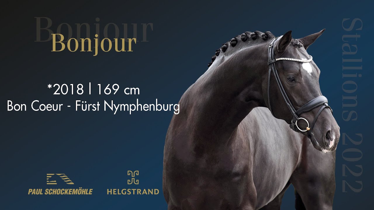 Bonjour - Dressage Collection 2022 Schockemöhle & Helgstrand (ENG)