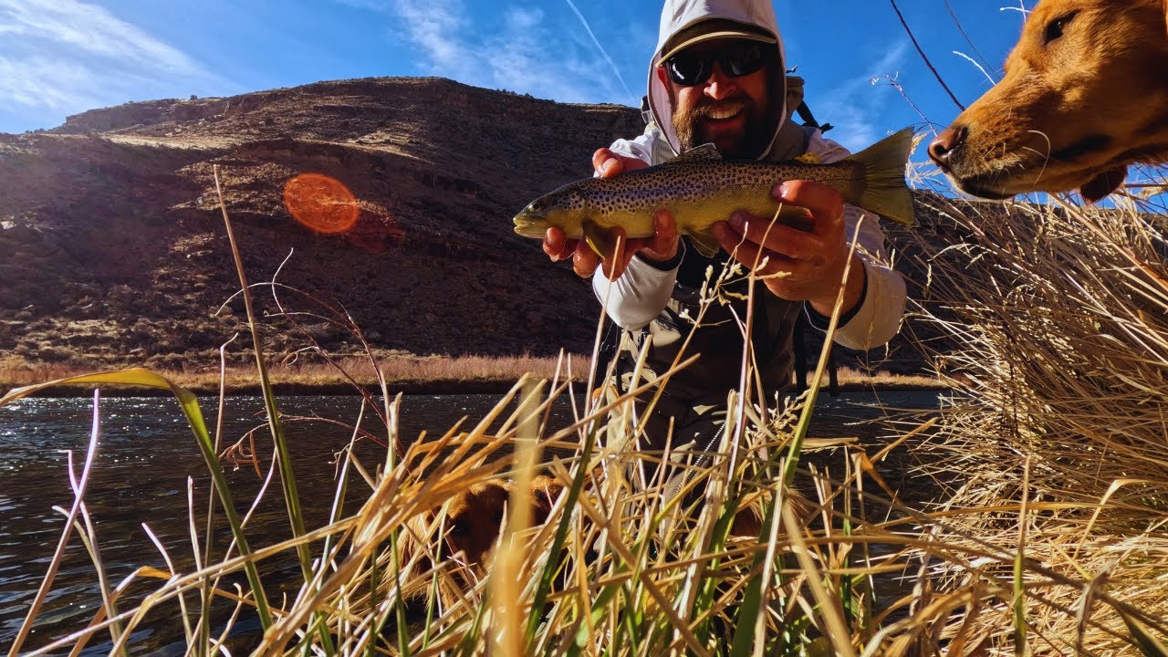 Excellent Colorado Big River Fly Fishing! Winter Road Trip Day 2