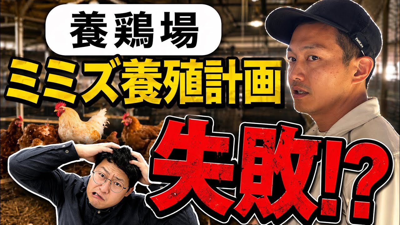 ミミズ養殖が大失敗？！冬の成果はいかに。岡山県吉備中央町で「ニワトリを育てる男」あおぞら養鶏場カオルさんとおとさんのミミズ100万匹のプロジェクト♪第二弾