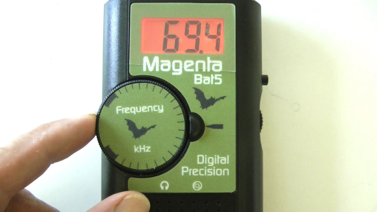 Bat Detector, Magenta Bat 5