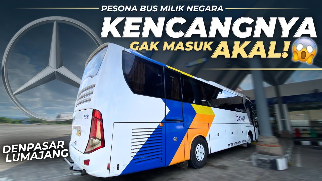 JADI YANG TERCEPAT?? Jaminan Anti Lelet Naik Bus Ini‼️ DAMRI Denpasar - Lumajang