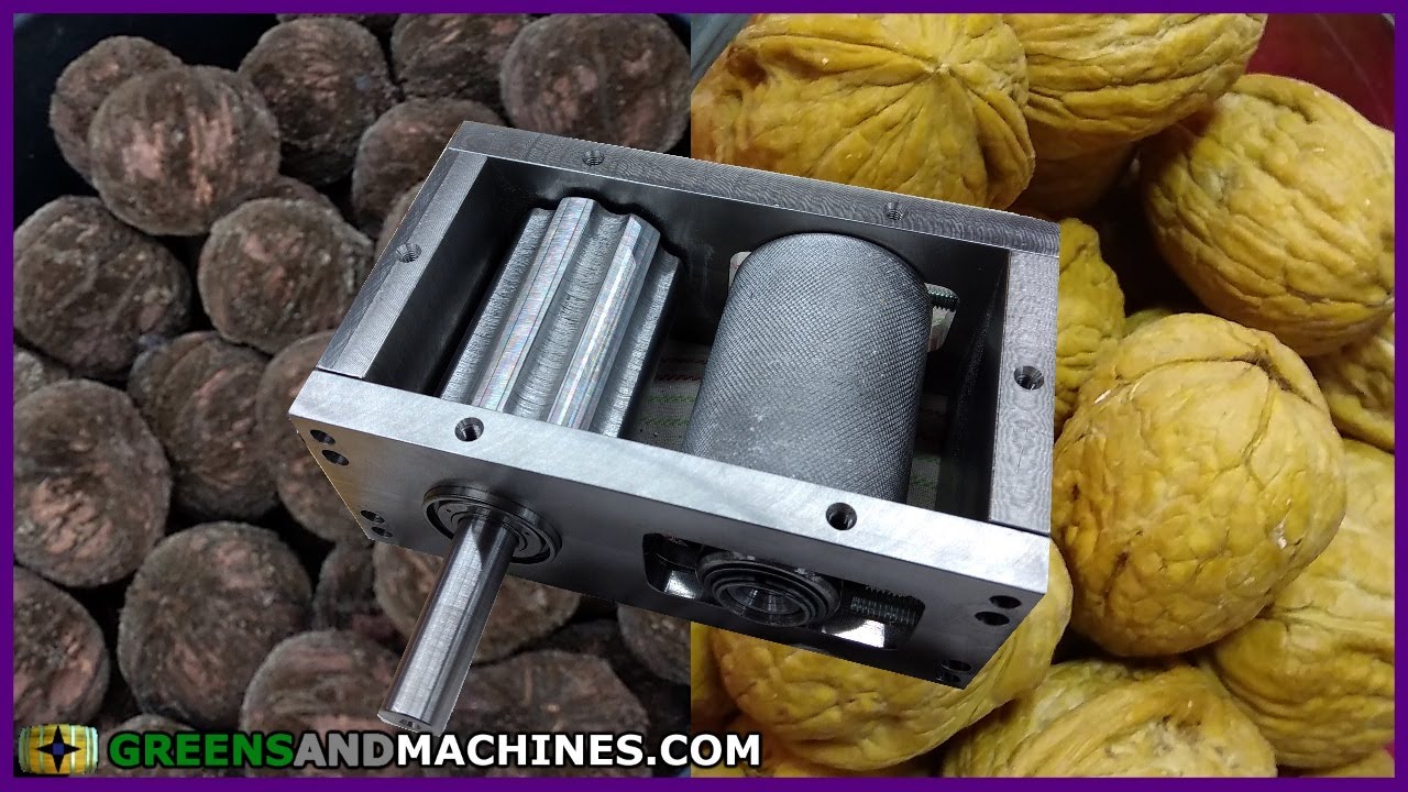 Cracking Black Walnuts Vs. English Walnuts with the Grain Mill