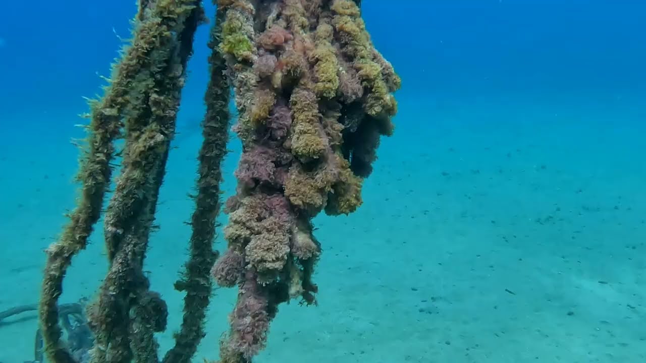 Playa Chica, The Cathedral and Blue Hole Dive Sites in Lanzarote Spain