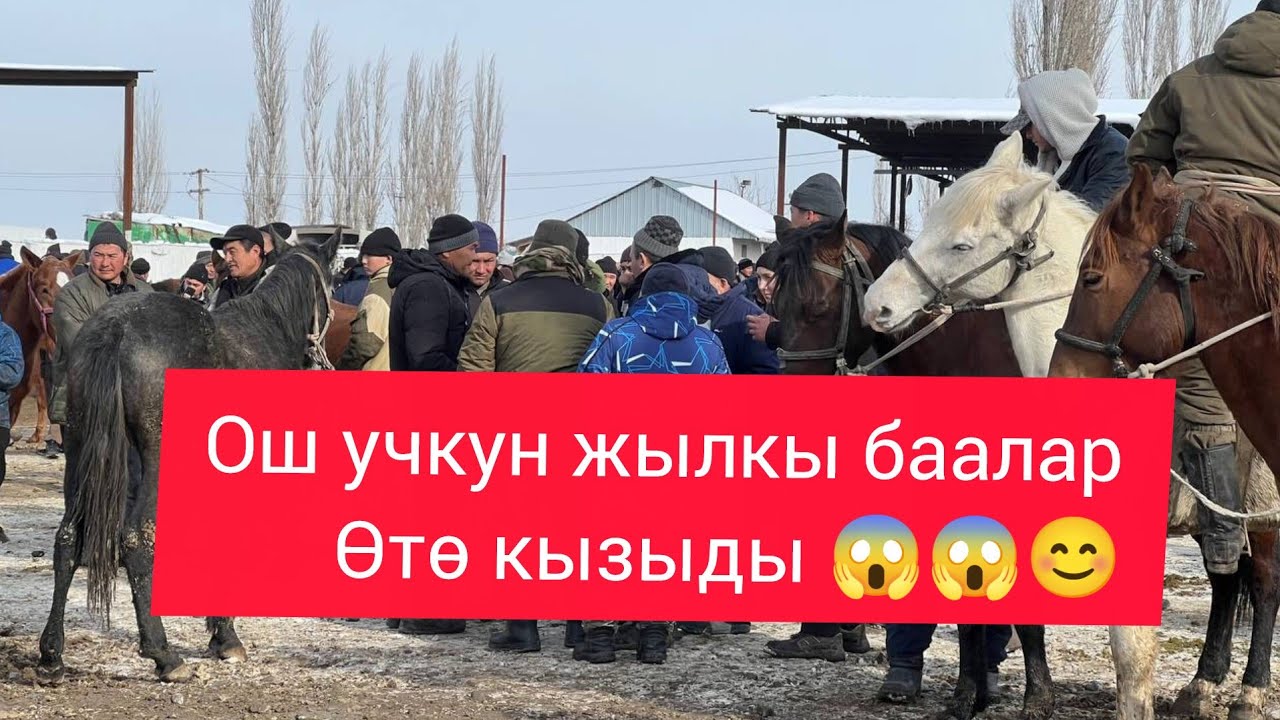 ОШ УЧКУН ЖЫЛКЫ БААЛАР ӨТӨ КЫЗЫДЫ😱😱🥵2026 ж 25 январь 