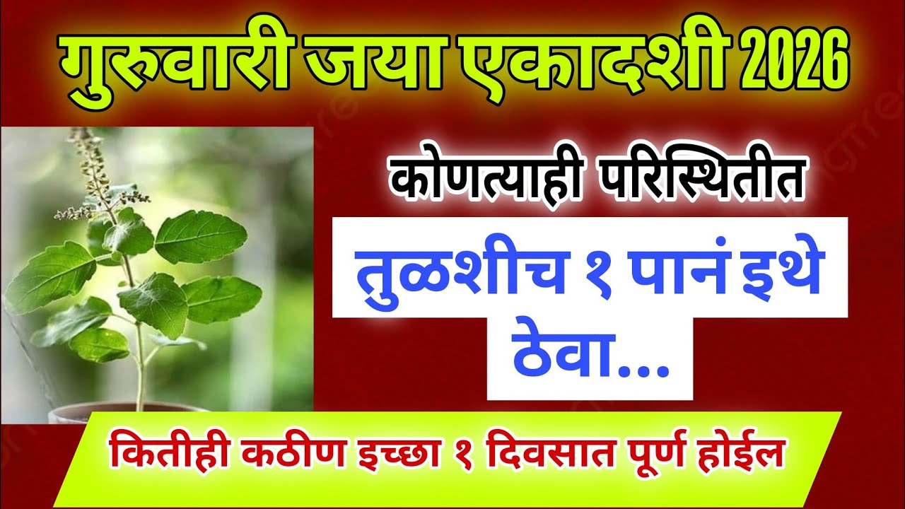 उद्या गुरुवार 