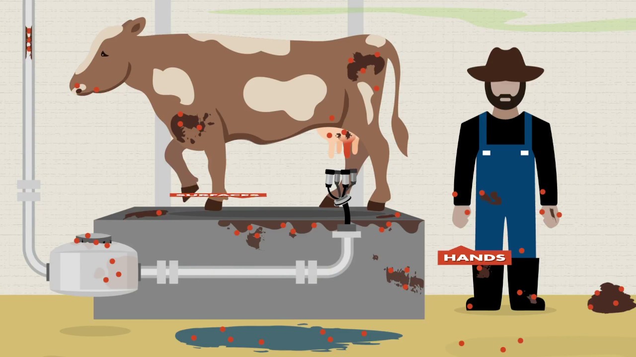 Do You Know How to prevent bulk tank contamination?