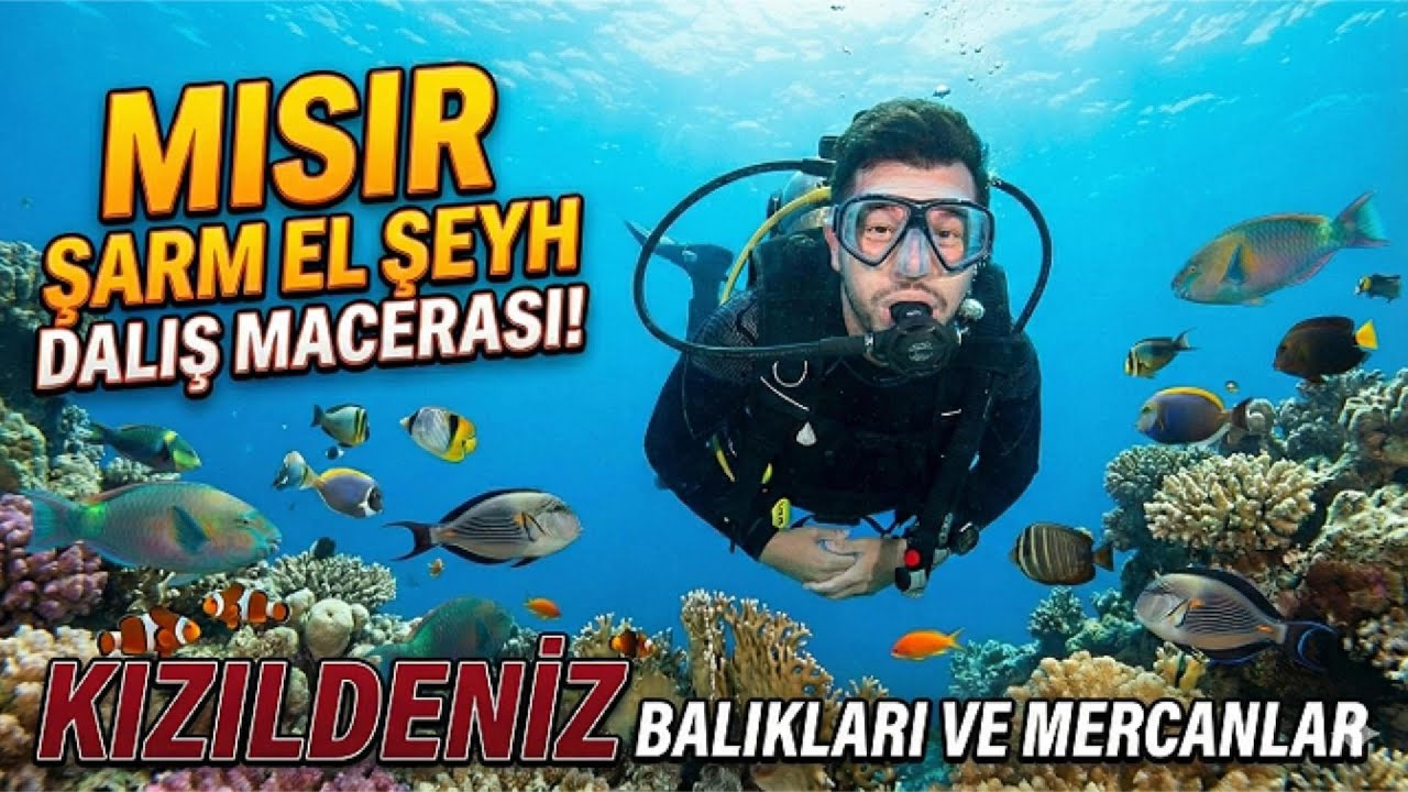 ŞARM EL ŞEYH DE MASMAVİ SULARA DALDIK(Kızıldeniz Tüplü Dalış)