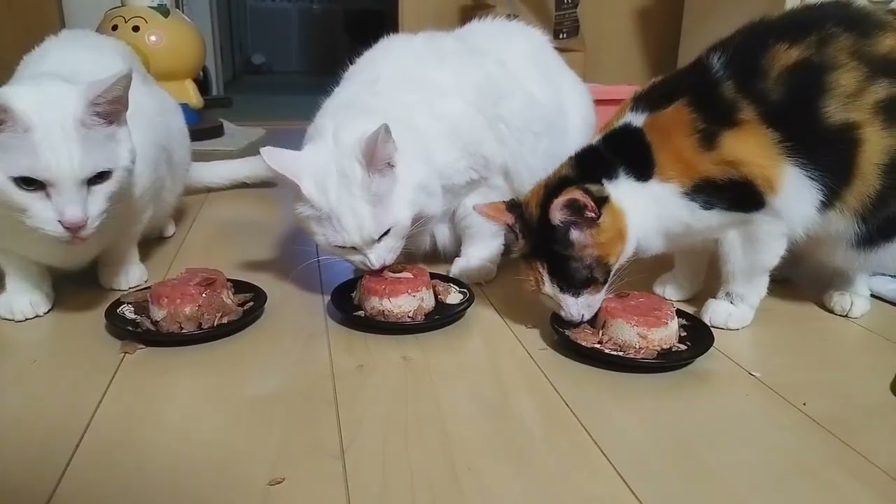 メリークリスマス