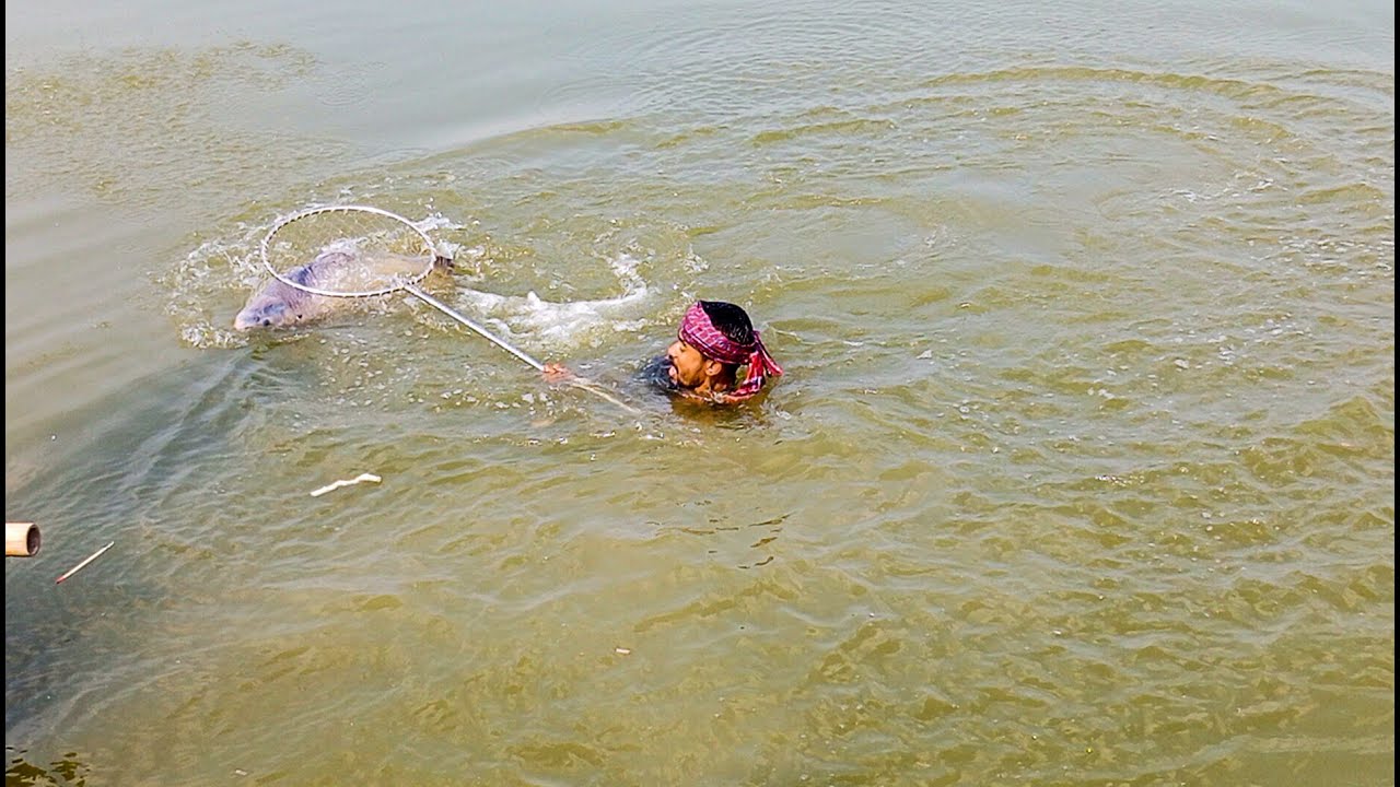 দৈত্যাকার মাছ শিকারীকে পানিতে নামালো দৈত্যাকার মাছে শিকারী কে ডুবিয়ে ছাড়লো