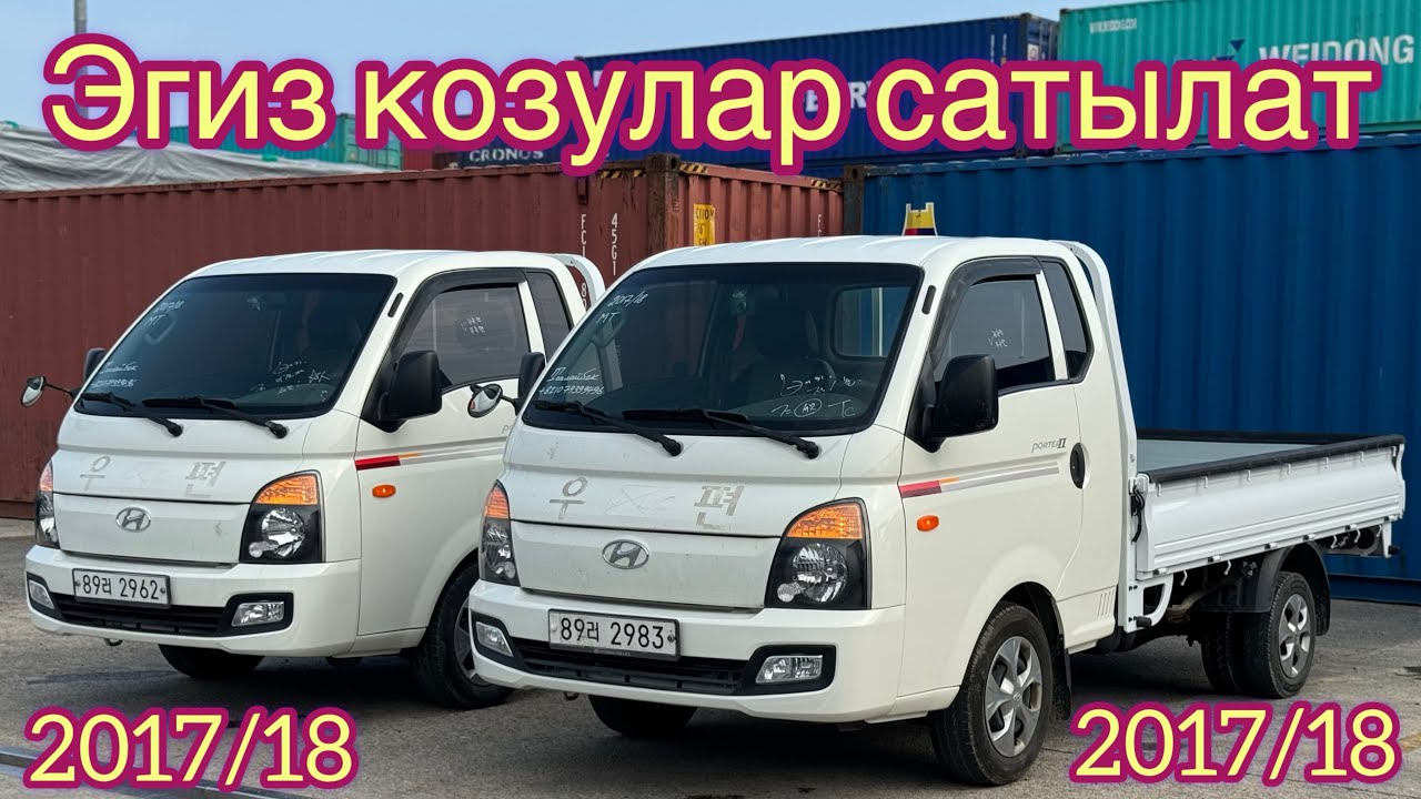 Эгиз козу механика Портерлер сатылат, +821079399496