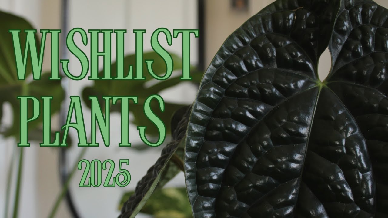 15 Plants On My 2025 Wishlist
