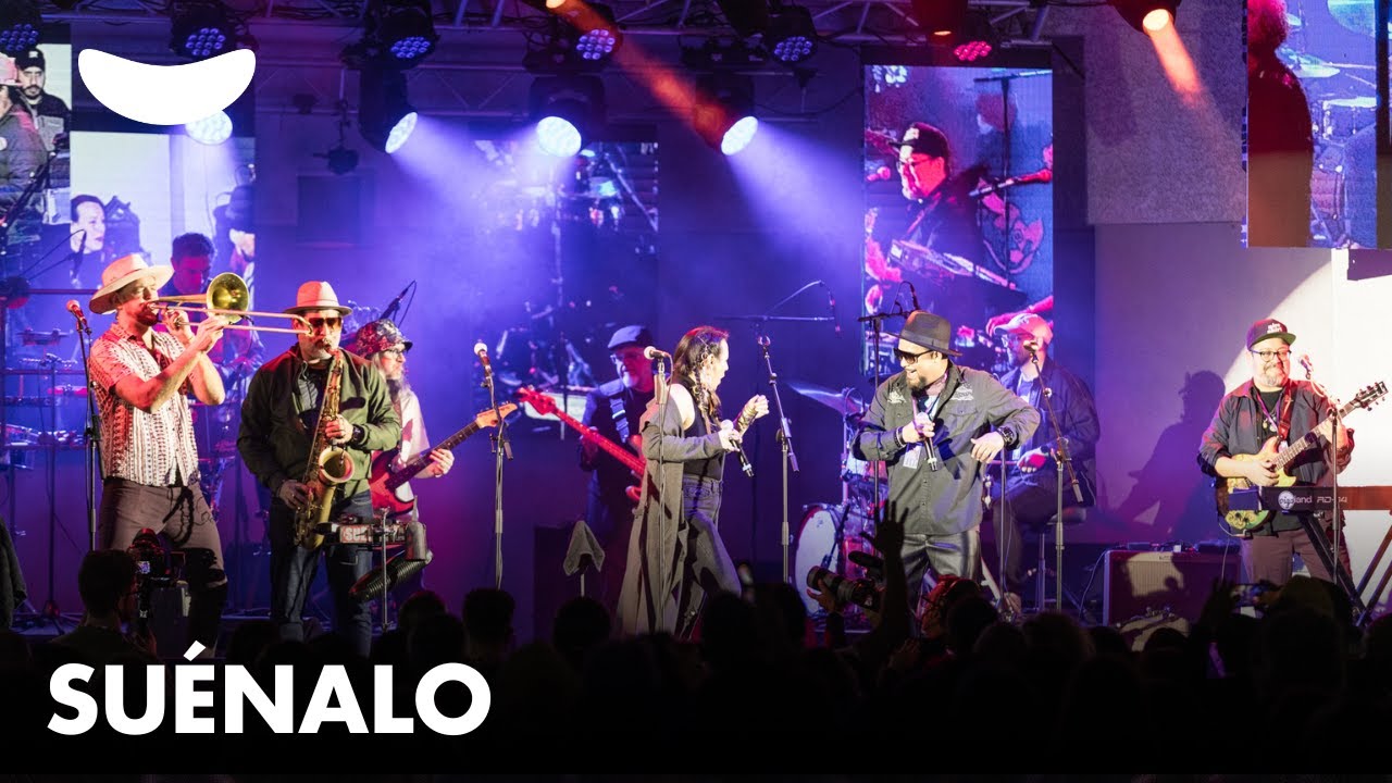 Suénalo - Live at the Miami Beach Bandshell