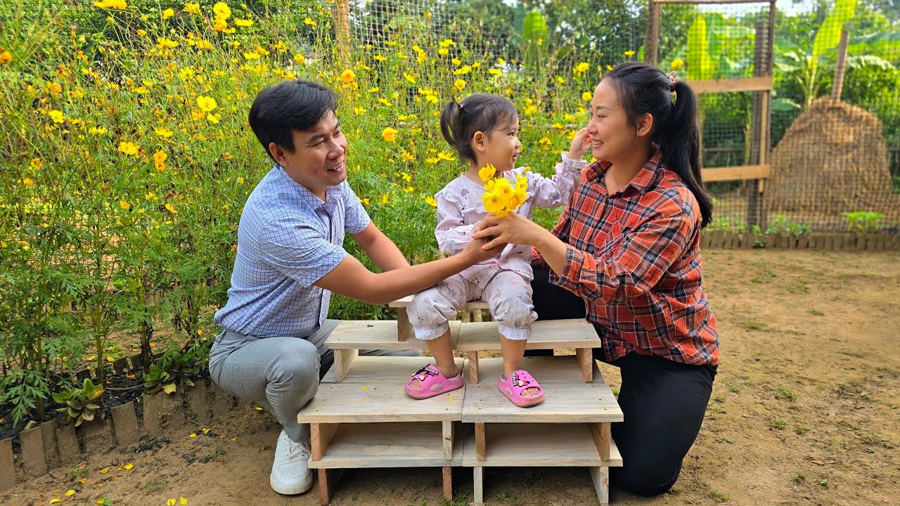 Harvesting cucumbers - Harvesting cucumbers and enjoys family happiness together