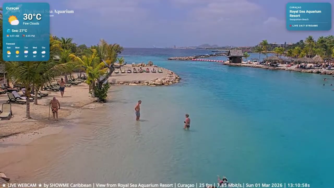 🌴 Best Caribbean Beach Resorts LIVE | Curaçao • Sint Maarten • Aruba • Bonaire