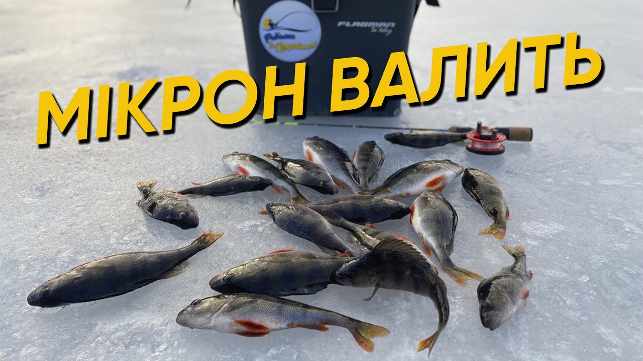 ЯК ЗЛОВИТИ ГАРНИХ ОКУНІВ З ЛЬОДУ НА БАЛАНСИР МІКРОН ... МІКРОН ВАЛИТЬ ))