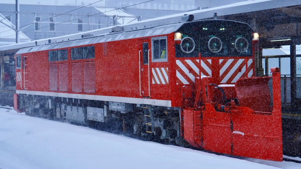 ハピラインラッセル　雪153D