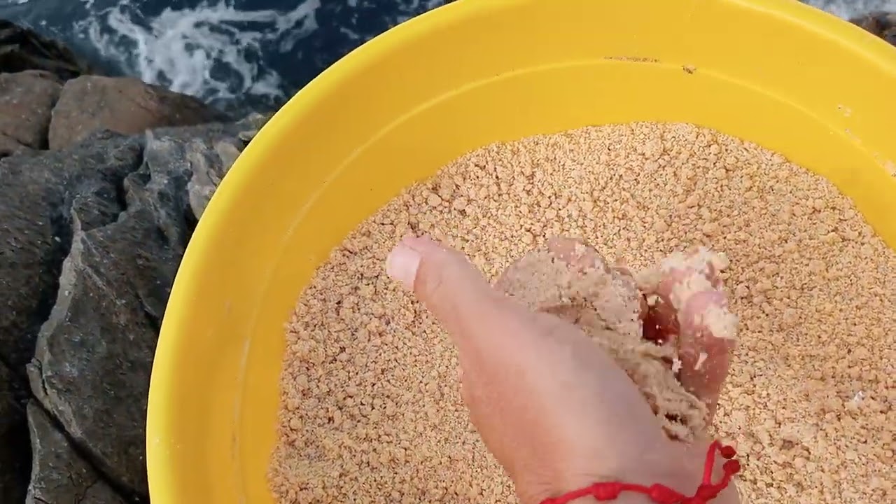 engodo tubertini de 3k de queso ideal para palometas, galanas y sargos.