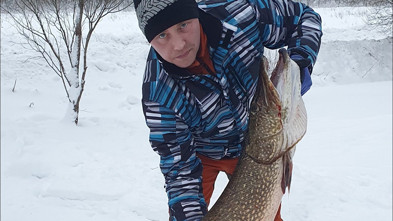 TALVIVERKOILLA 9 JÄTTI HAUKI 15.5KG