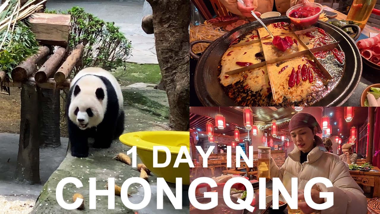 A Day in Chongqing 🇨🇳 Cute Pandas, Endless Stairs & Numbing Hotpot 🥵 Reality Travel Vlog