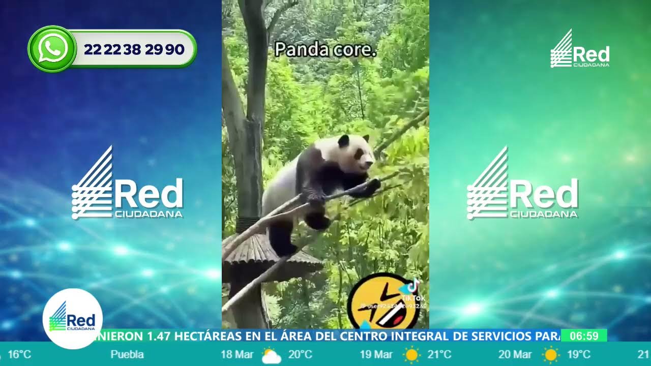 Estamos transmitiendo en vivo en la Red Ciudadana