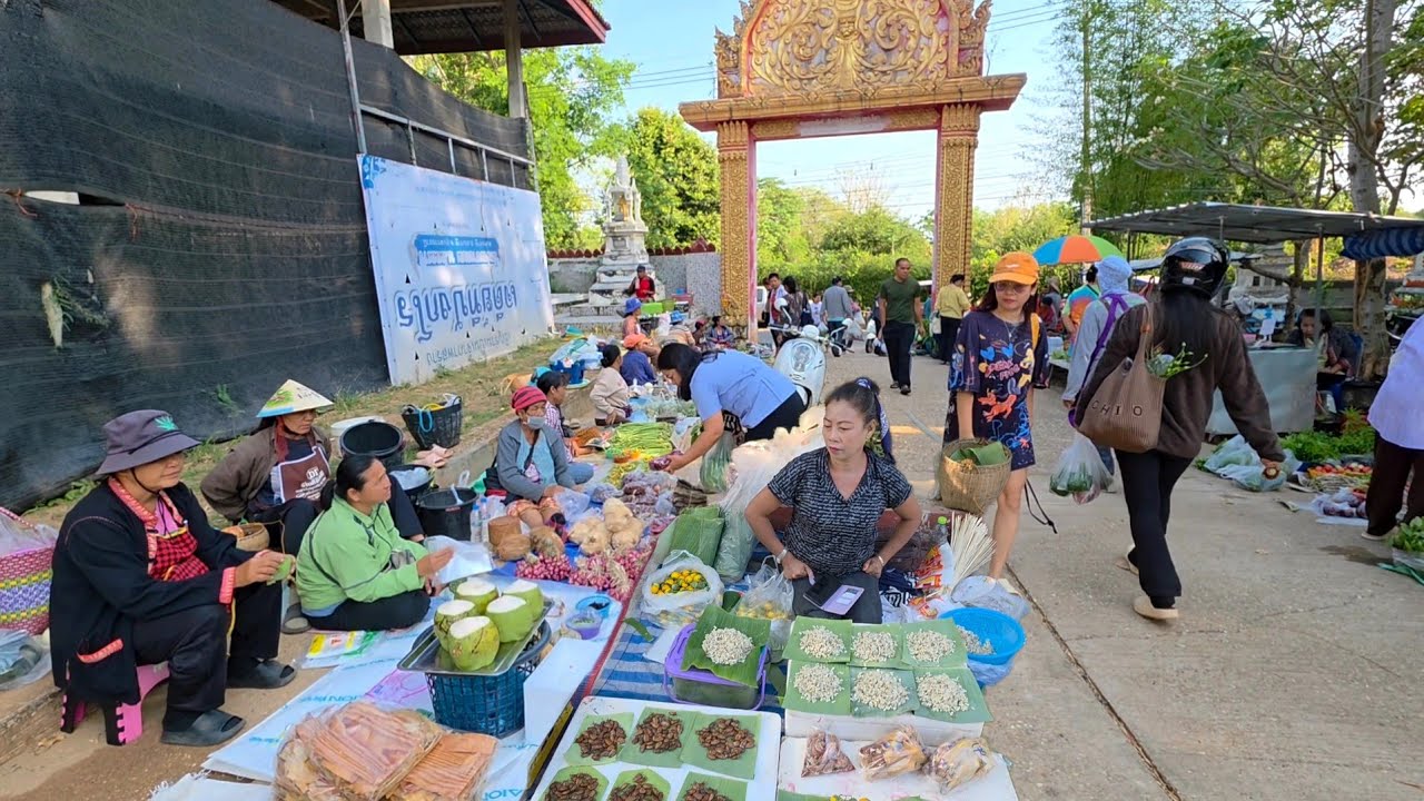 ตลาดเช้าอําเภอเขมราฐ จังหวัดอุบลฯ อาหารป่า อาหารตามฤดูกาลไข่มดแดง