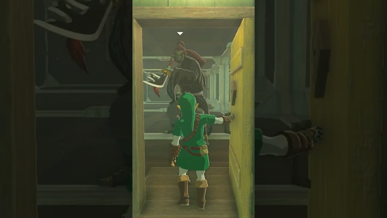 Link has a visitor... #zelda #funny #tearsofthekingdom #totk #gaming #nintendo #link